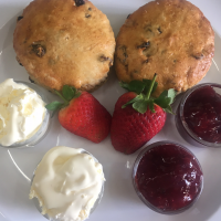 The best place to eat in Totnes